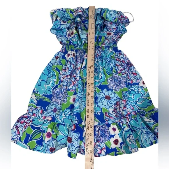 Lilly Pulitzer
Quincy Dress - Worth Blue / May Flowers
Small - Picture 5 of 6
